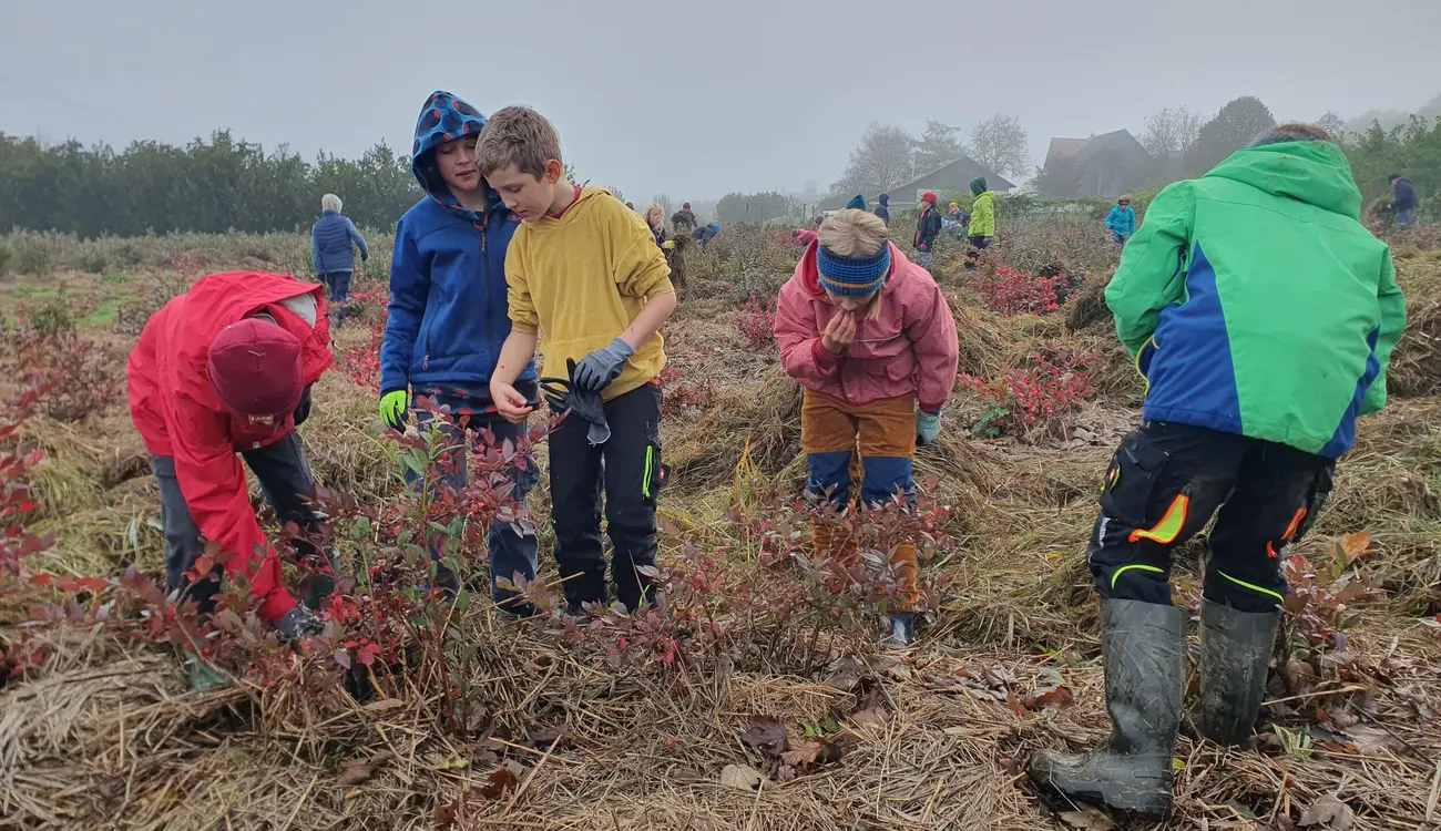Kinder in Regenkleidung und Arbeitshandschuhen arbeiten auf einem Feld