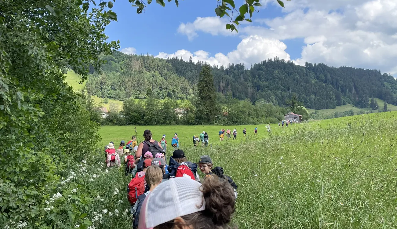 Eine Schulklasse wandert hintereinander durch eine Wiese, im Hintergrund bewaldete Hügel
