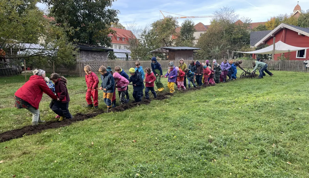 Eine Schulklasse zieht gemeinsam an einem langen Seil einen Pflug über die Wiese