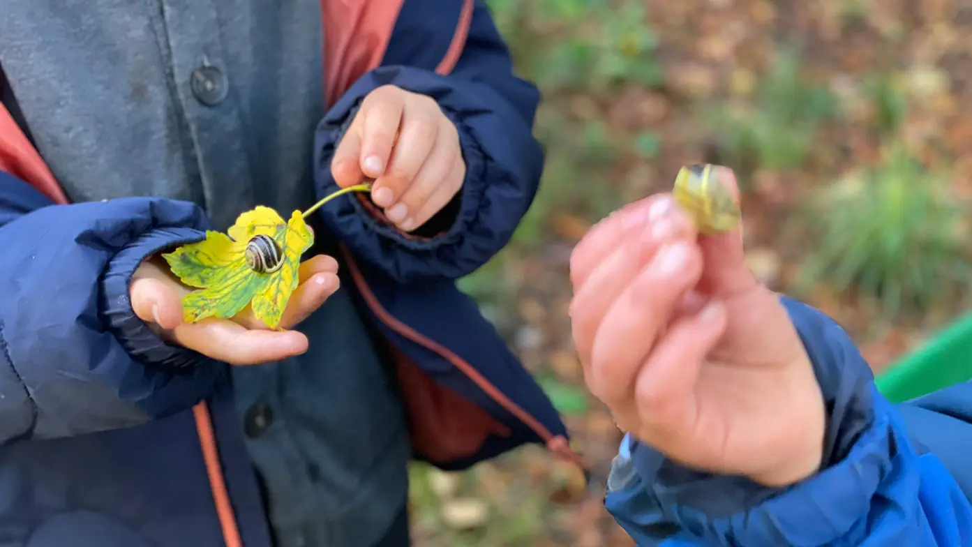 Kinderhände halten ein gelbes Herbstblatt mit einem Schneckenhaus