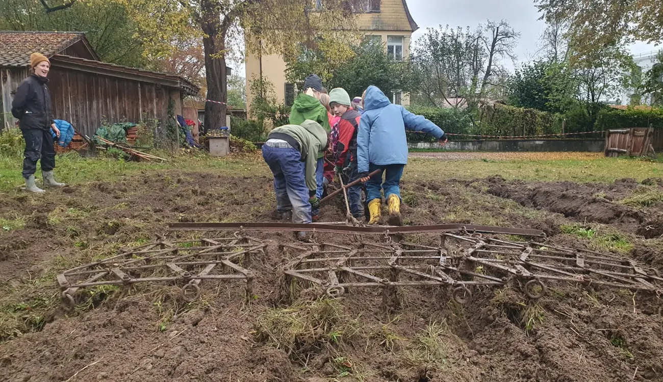 Kinder ziehen eine Egge über den frisch gepflügten Acker