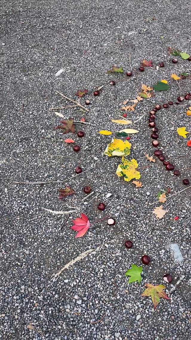 Was der Herbst hergibt, wurde von den Kindern der 4. Klasse liebevoll zu schönen Mandalas gelegt, die nun den Pausenhof verschönern!

#waldorfschulewangen #waldorfschule #waldorfpädagogik #natur #herbst #mandalaart #landart